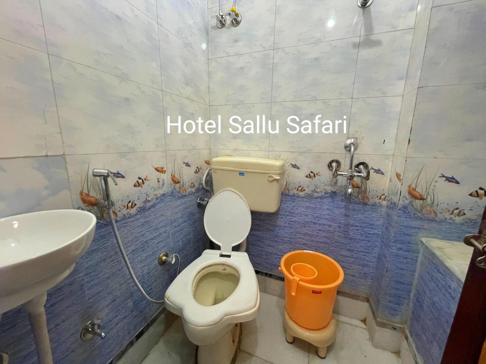 Hotel Sallu Safari Jaisalmer Buitenkant foto